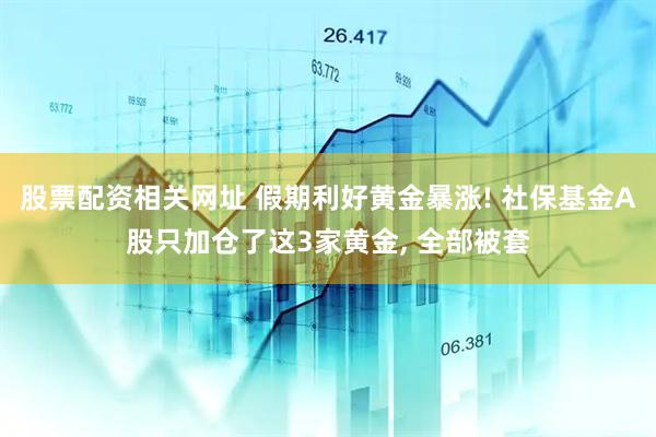 股票配资相关网址 假期利好黄金暴涨! 社保基金A股只加仓了这3家黄金, 全部被套