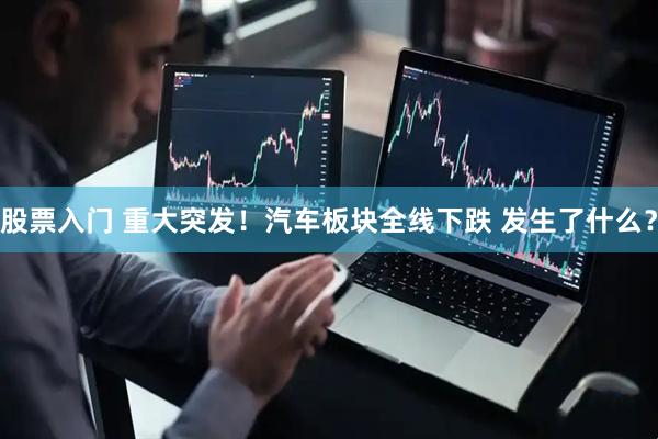 股票入门 重大突发！汽车板块全线下跌 发生了什么？